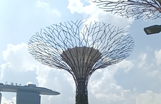 如何在日常生活中建立情绪觉察的习惯？