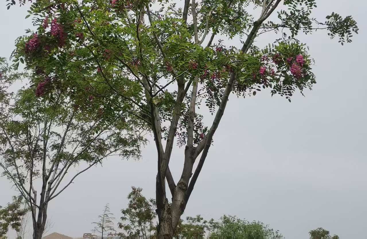 如何判断一个人是否值得托付的细节