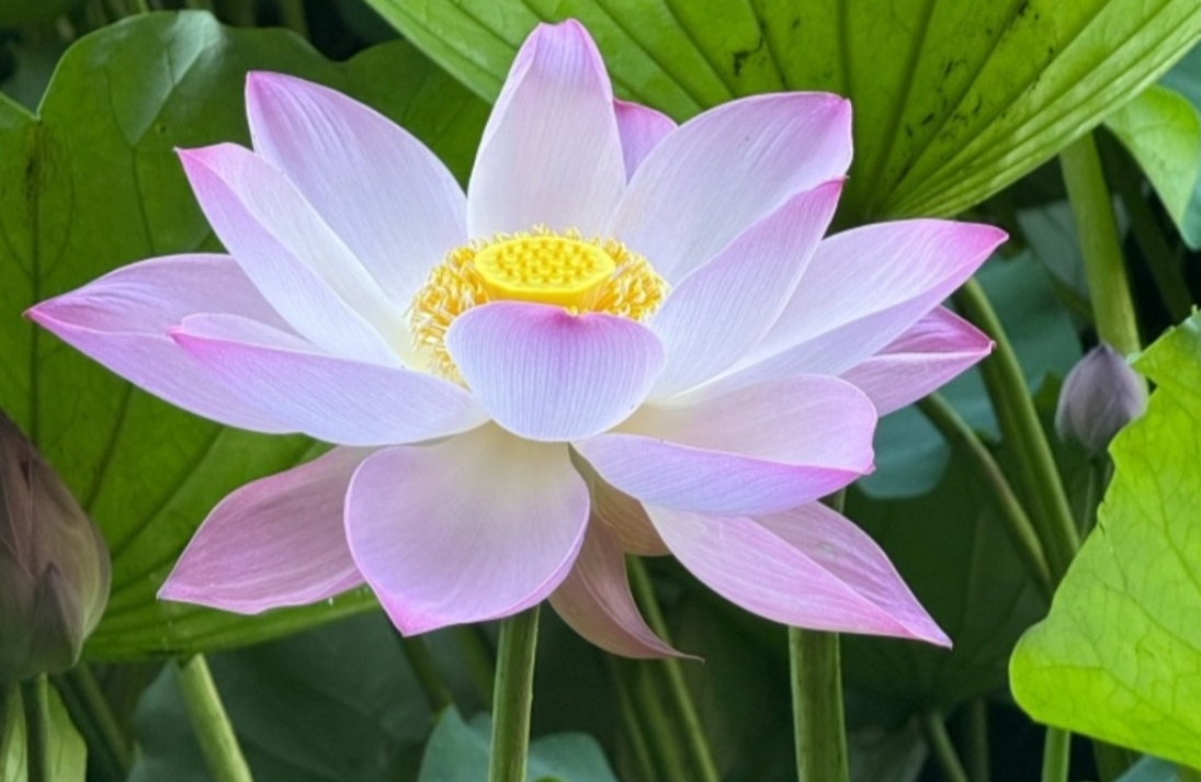 高敏感应对措施
