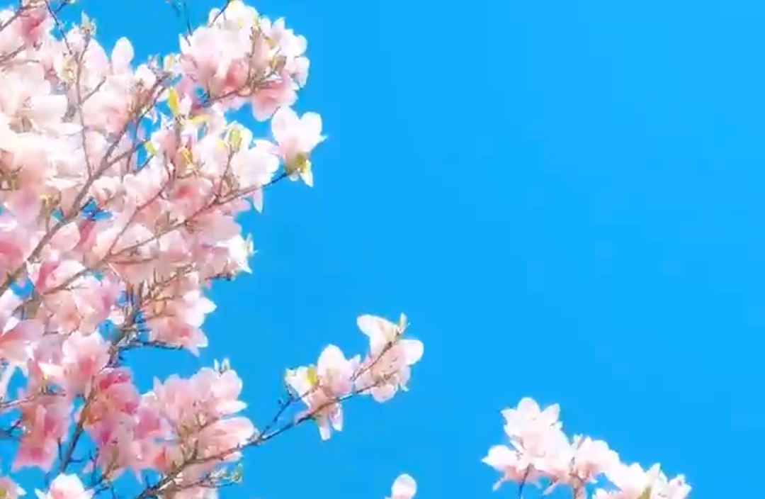 “梦到偷父母钱”的深层心理解读