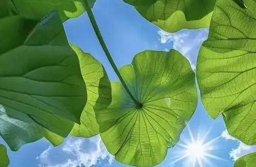 关系里总在“情绪内耗”？你不是太敏感，是故事写歪了