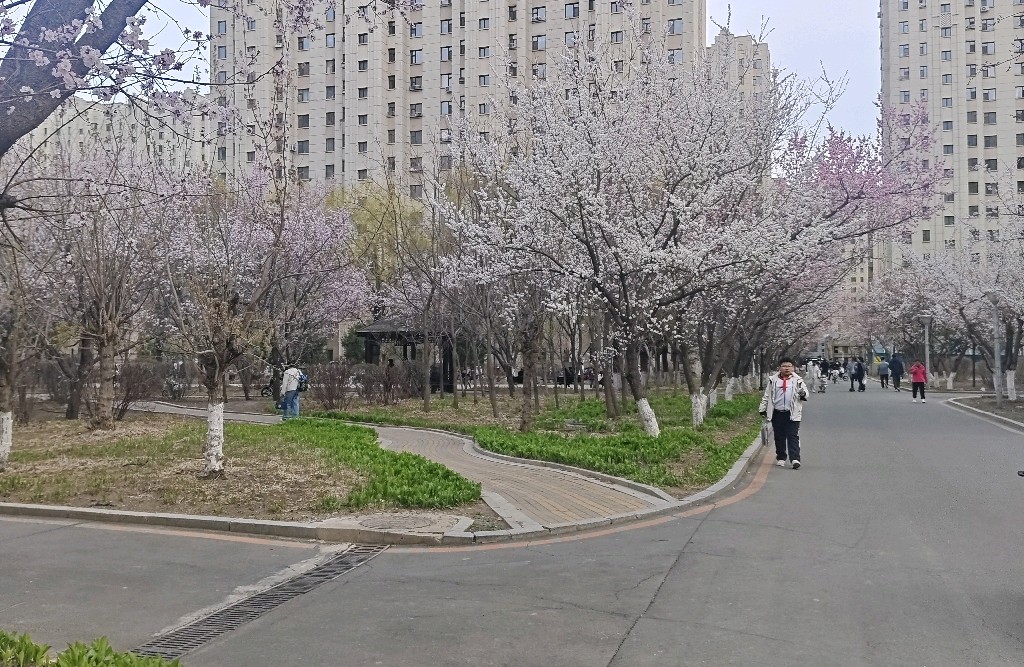 亲密关系最好的沟通：先理清需求，再开口说话