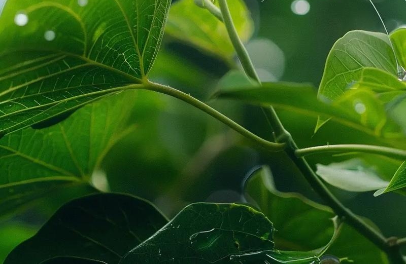 为啥结婚越久，越像合租室友？可能不是不爱了，是你们的故事卡壳