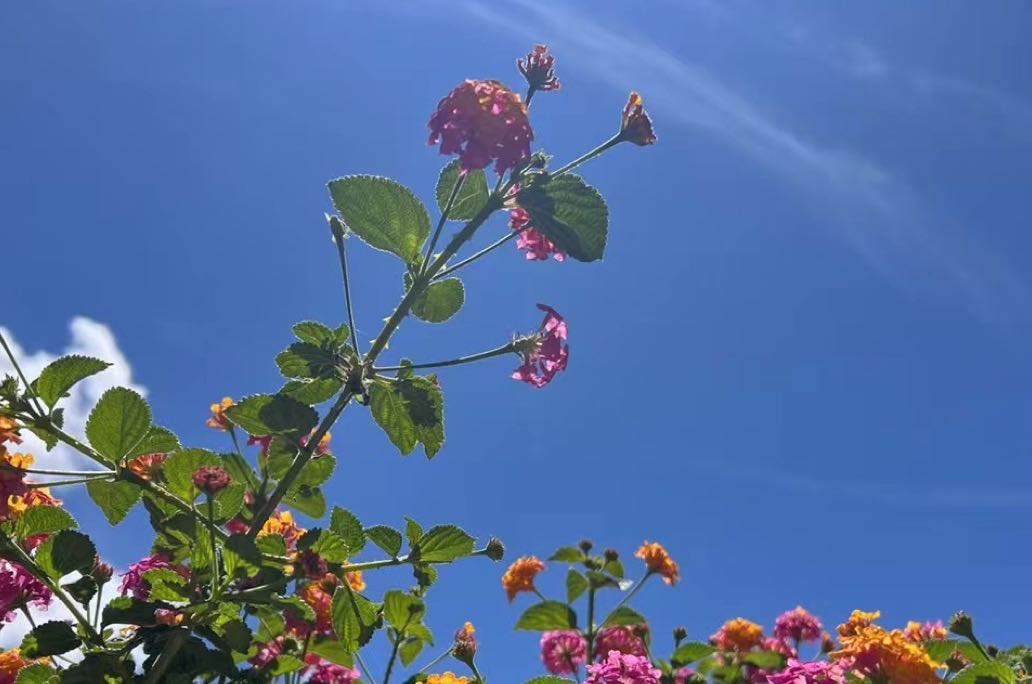 允许悲伤停留，让告别成为温柔的序章