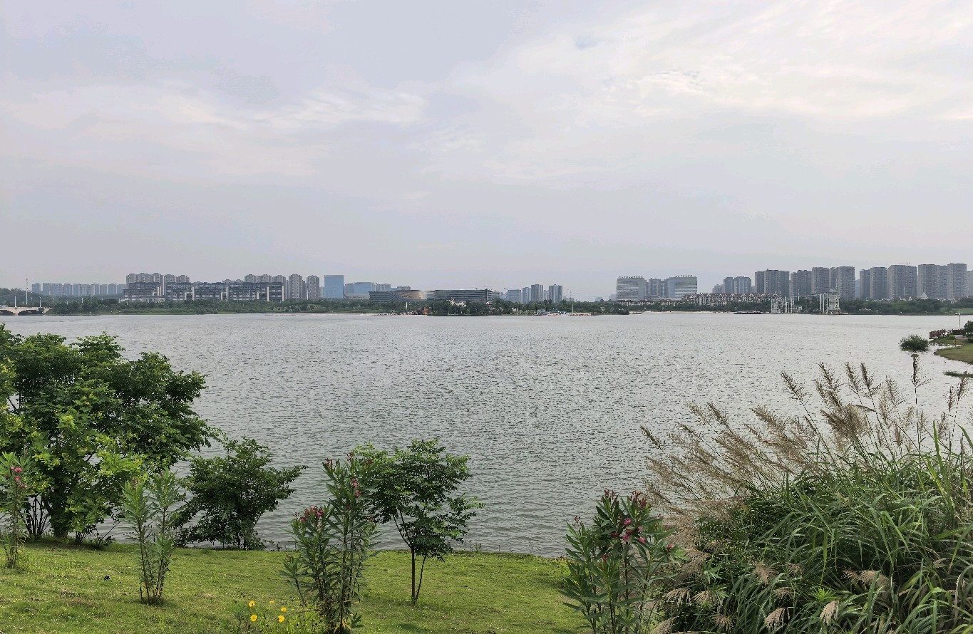 细化详解：心理动力学（结合倾听师临床实操，分五大模块、落地个
