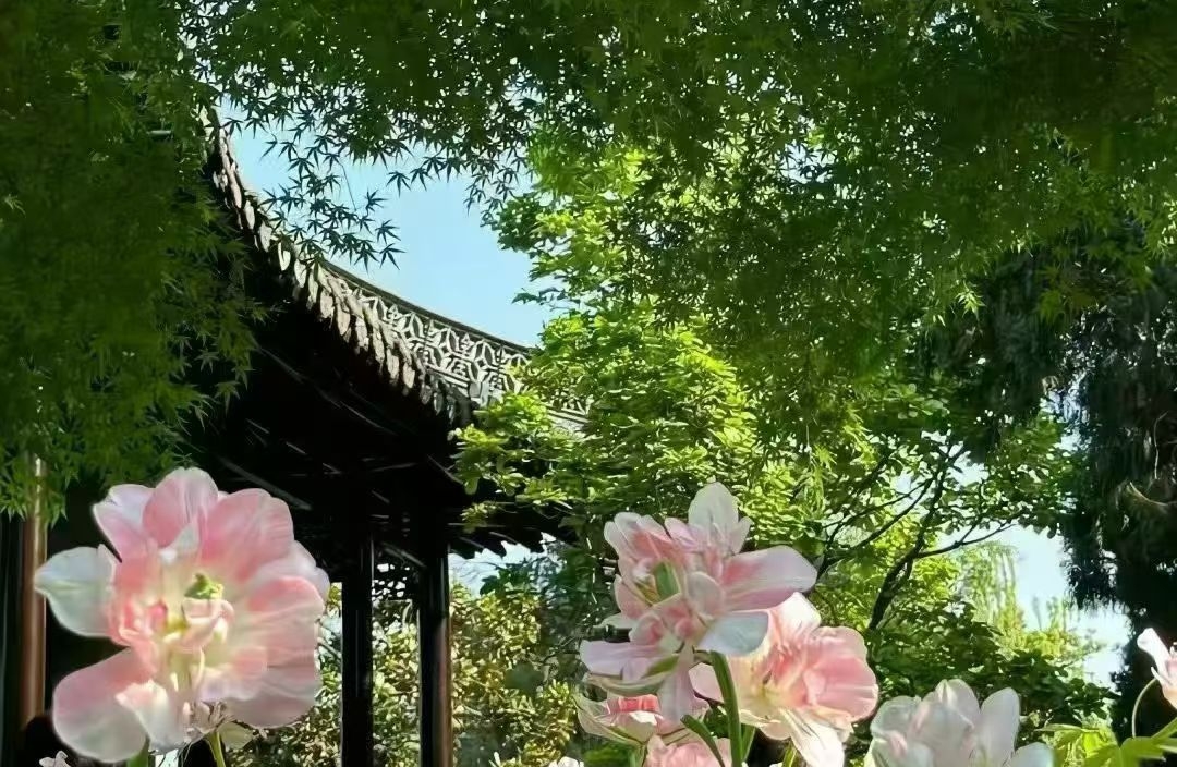 父母为什么坚决反对你找单亲家庭的对象？真相很现实