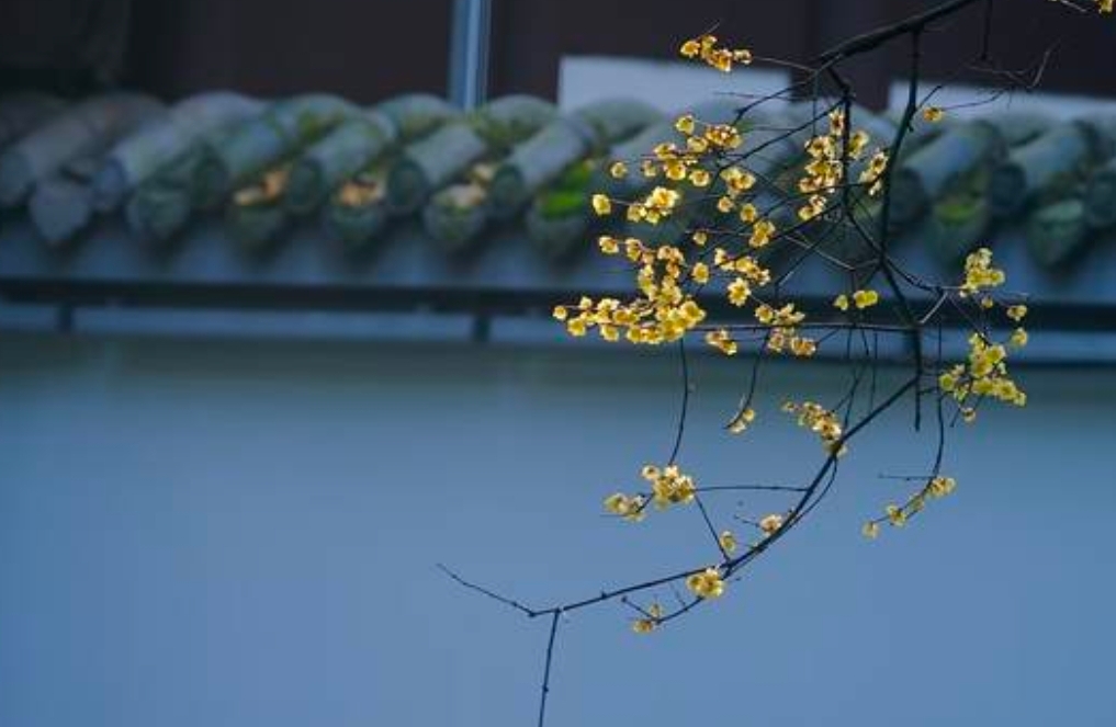 与自恋型伴侣相处：那些说不出口的委屈，你经历过吗？
