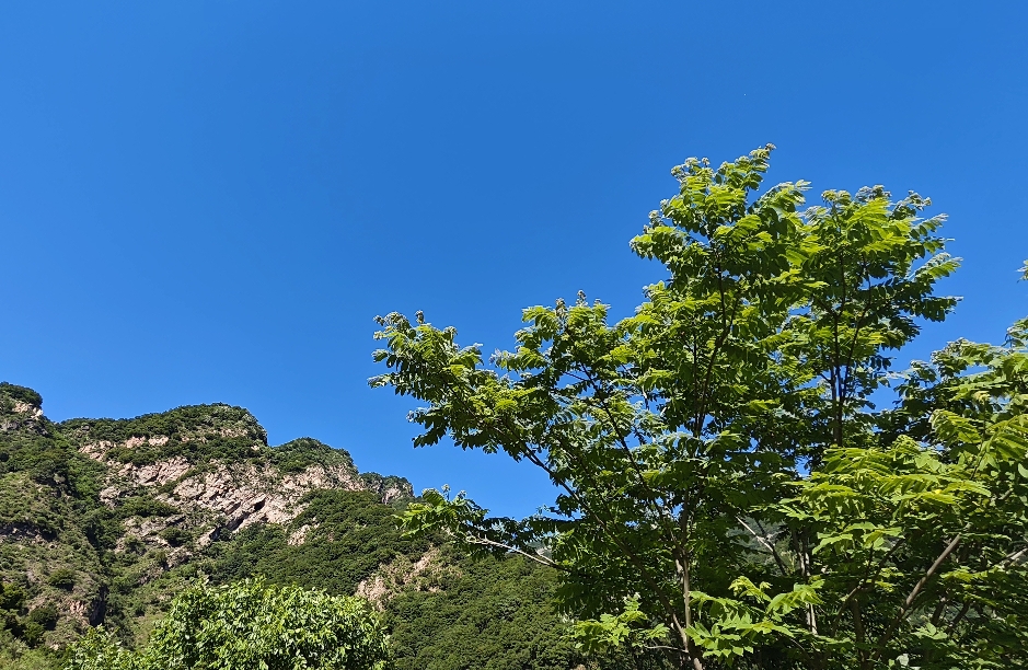 看透精致利己者：识别特质与相处之道