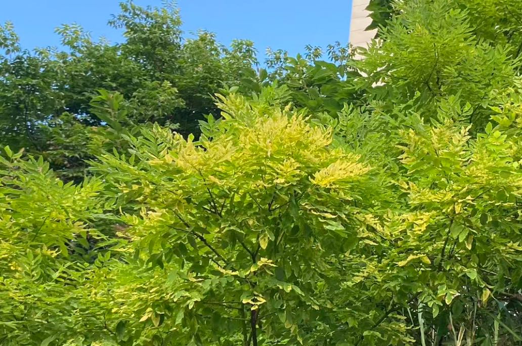 你的婚恋不幸，早已藏在原生家庭的教养模式里