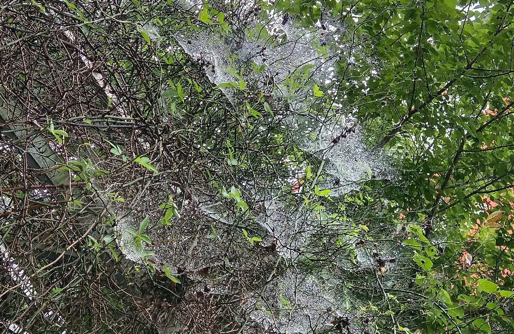 第一次倾听感悟:在地狱级难度中看见光