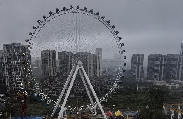 好马会吃“回头草”吗？（感情）