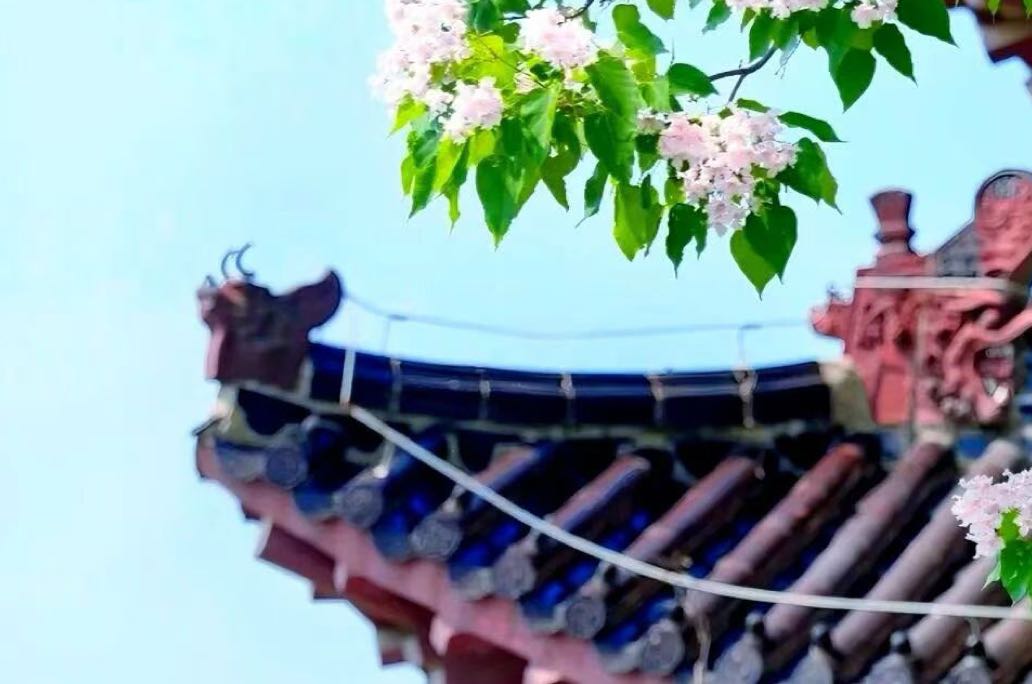 面对间接操控型父母该怎么办？