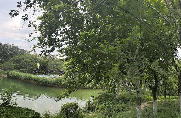 爱情退场后，中年女性重建亲密关系的三重阻碍与破局思路