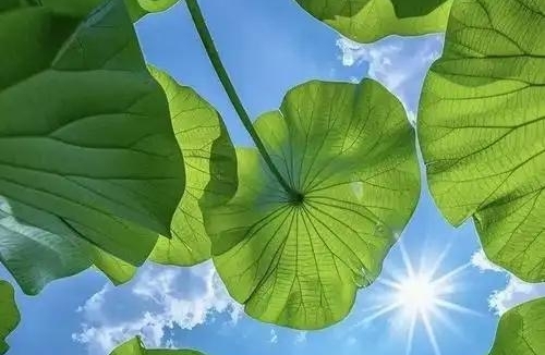 家家有本难念的经 别再拿别人家比了