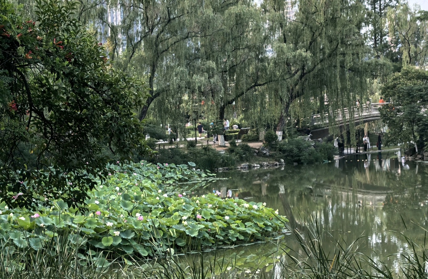 把“家”留在身后：一场迟到的心理断奶