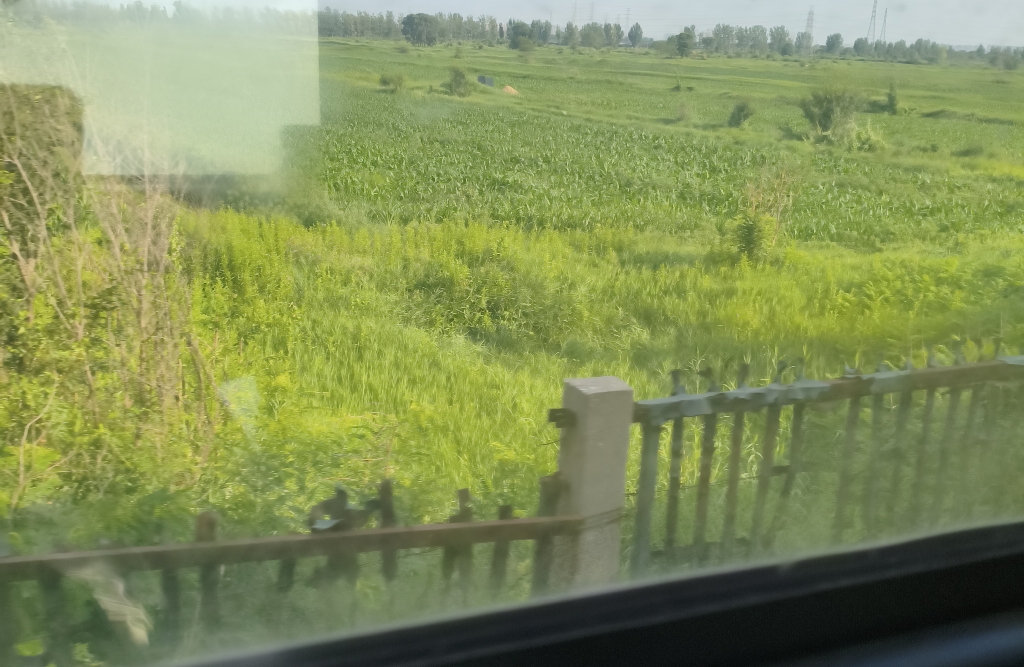 分不清抑郁和emo？二者本质完全不同