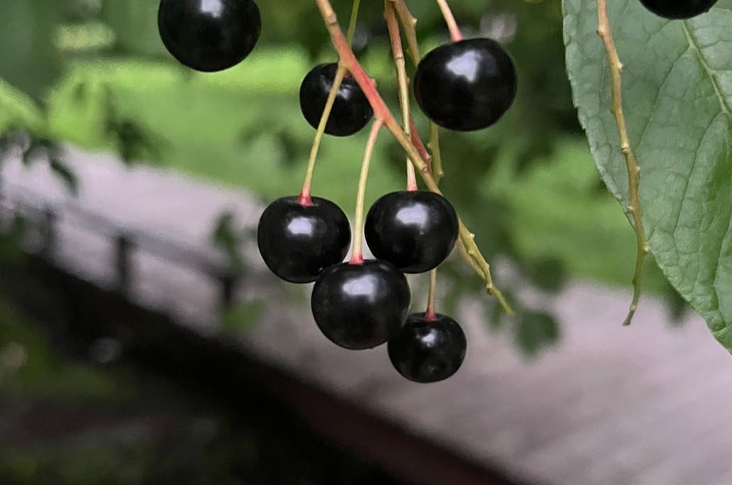 为什么会有社交恐惧？该怎么调节呢？