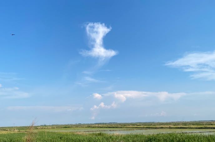 闭嘴，是你能给某些声音的最高礼遇！