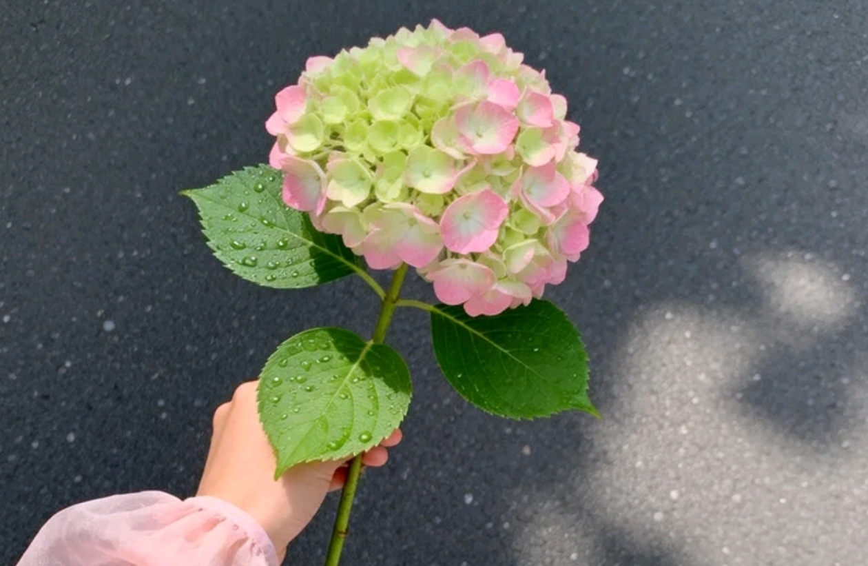 无话可说的婚姻，到底该如何悄悄修复暖意
