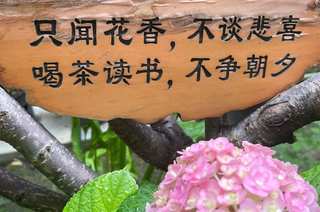 如何处理当下低落的情绪？