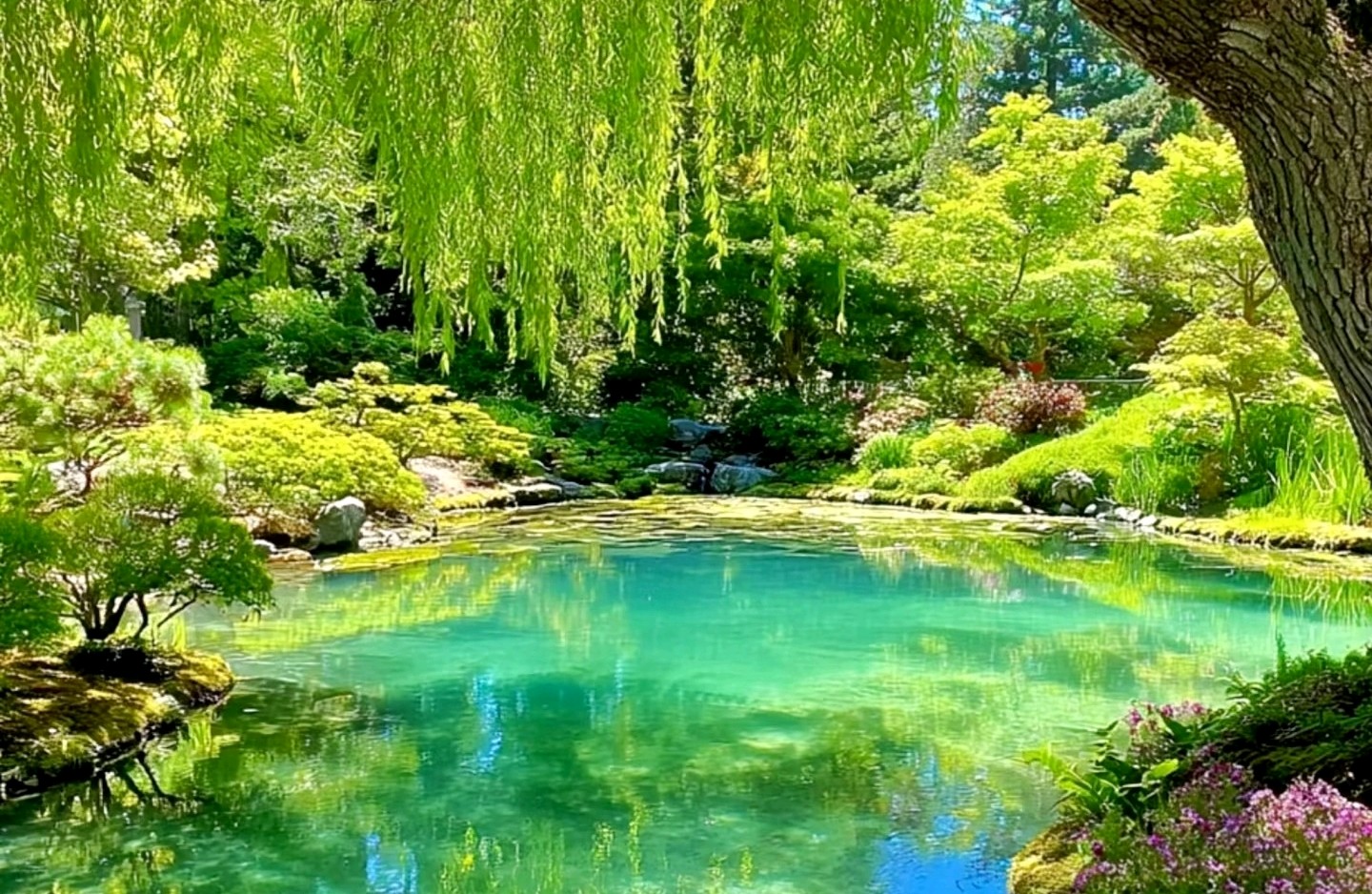 负面情绪怎么快速清空