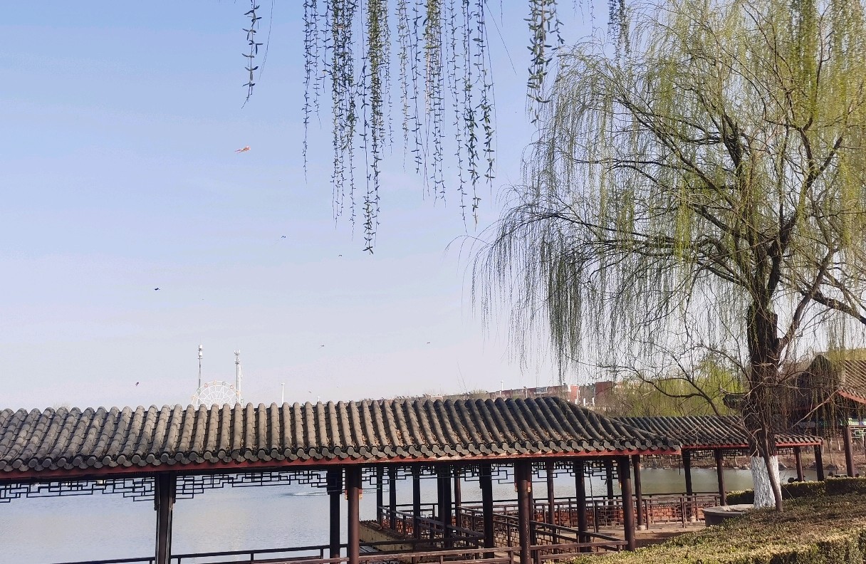 孩子厌学不愿意接受心理咨询，父母应该怎么办？