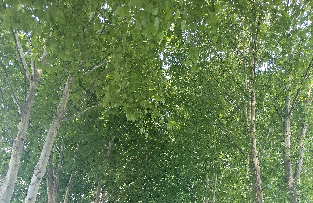 关系出现矛盾，不要一味妥协讨好