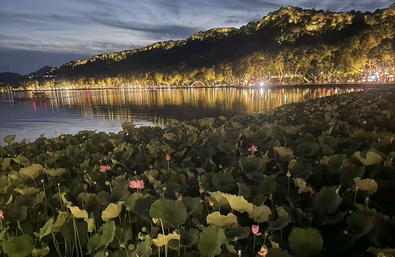 依恋感缺失，为什么你很难信任一段亲密关系
