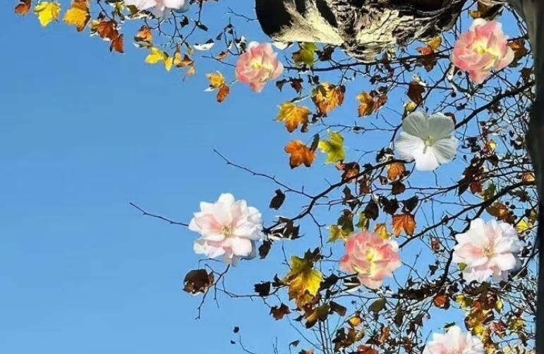 适度将就算是妥协？