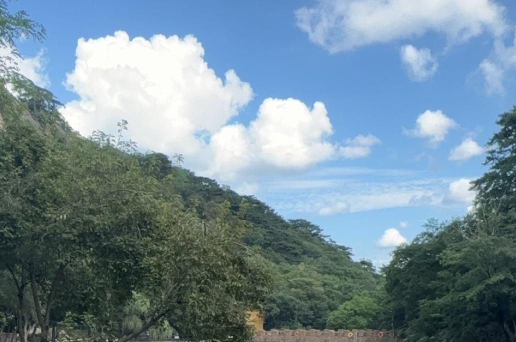 遭遇伴侣冷暴力正确处理