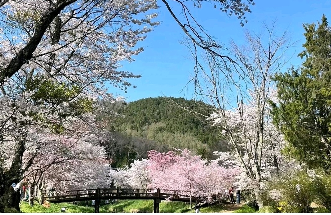 褪去热情平淡算不算不爱了
