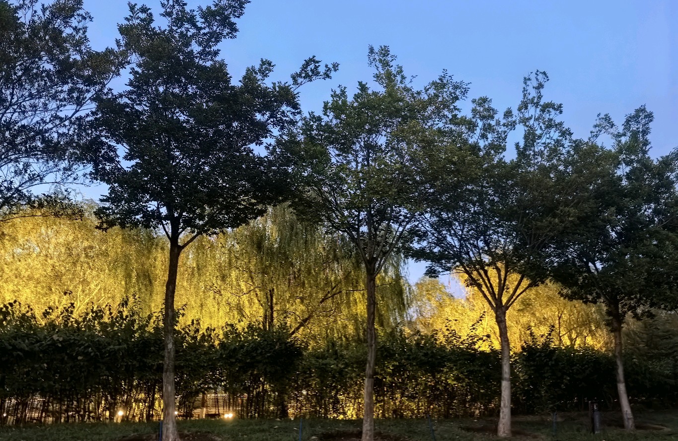 如何区分中年婚姻的倦怠期还是不爱
