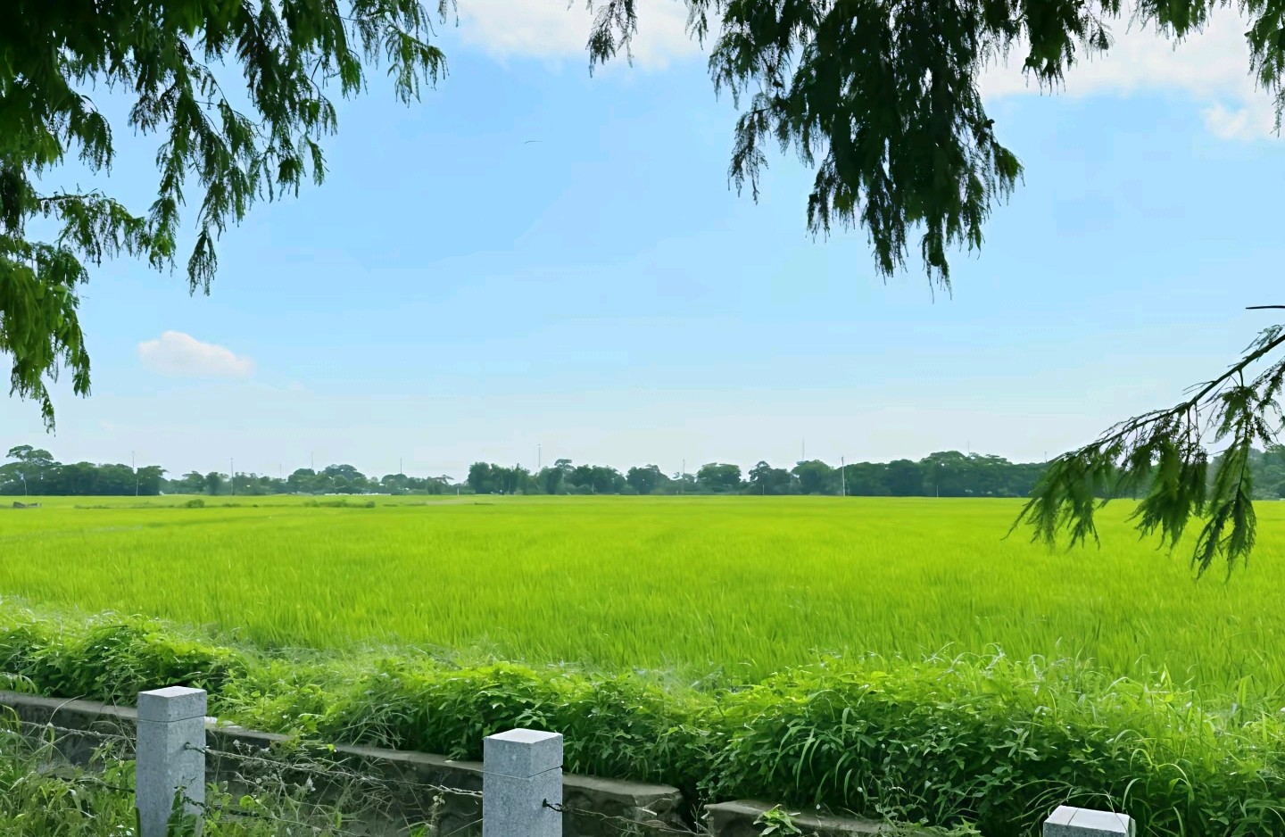 生活窘迫还要坚持什么？