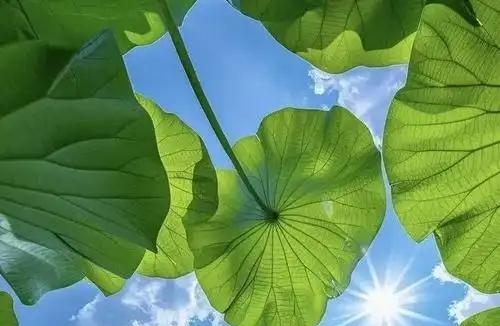 付出太多被当理所当然
