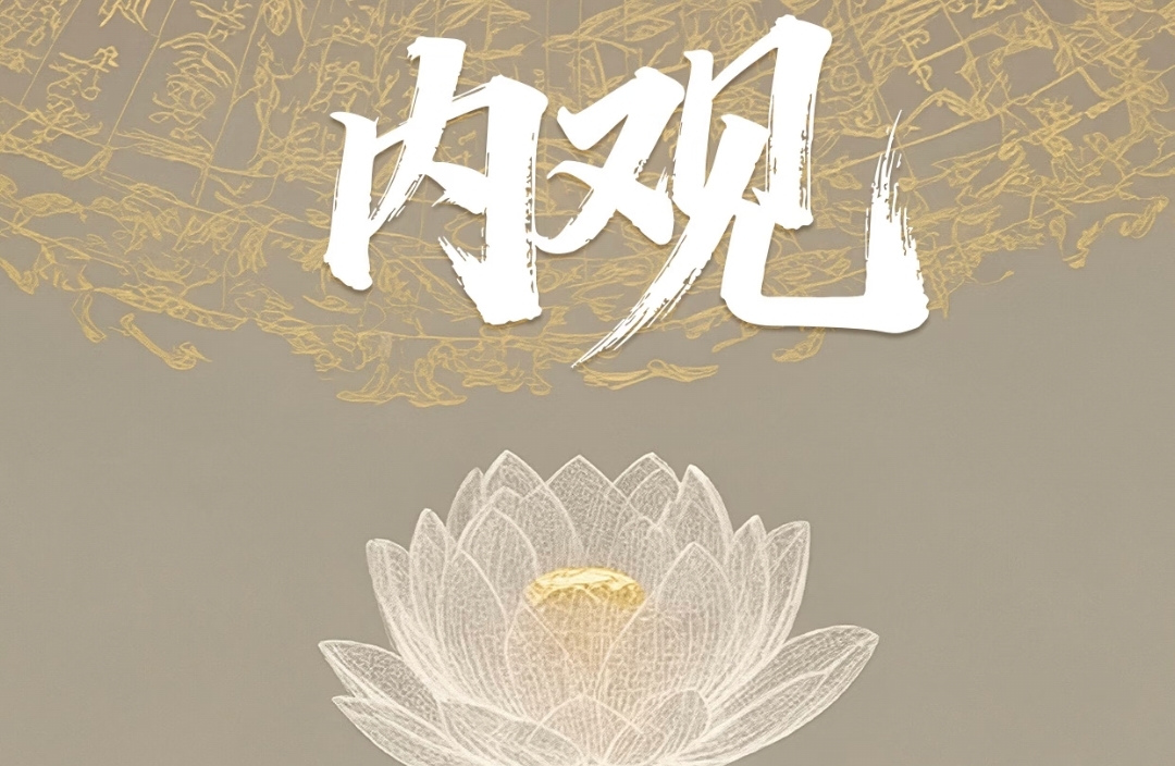 亲密关系中的追与逃——停止追逐，方能相遇