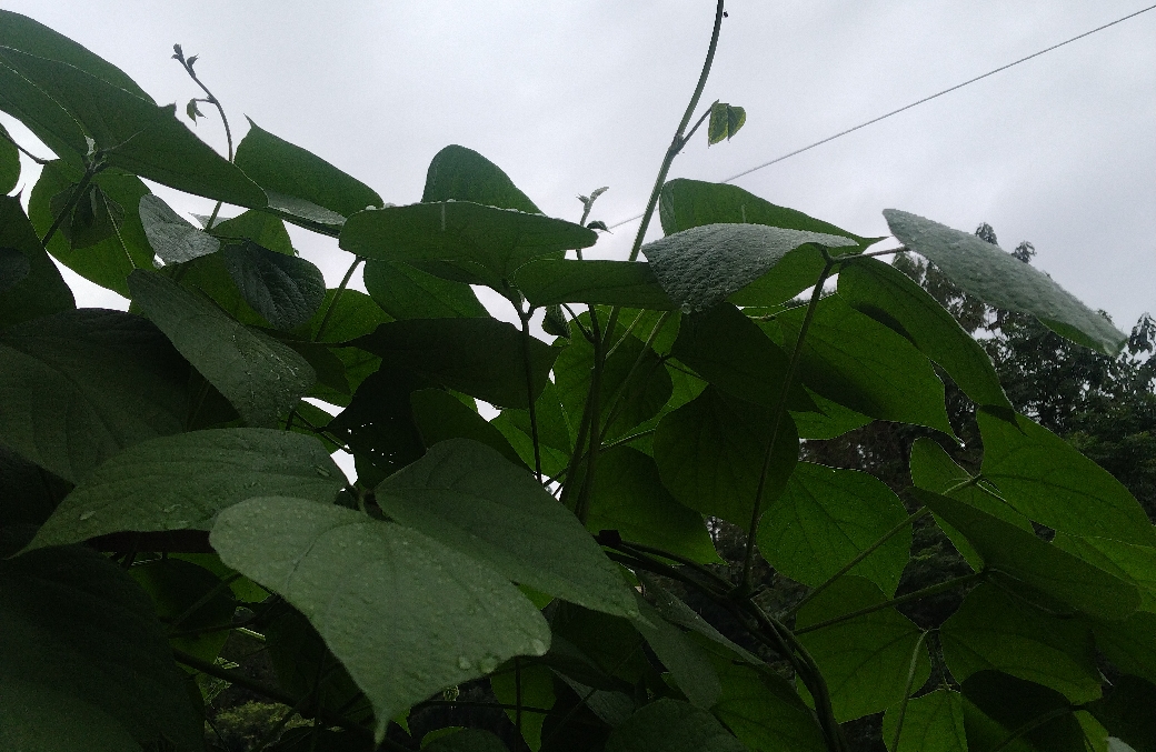 中年夫妻，在平淡里重新相爱