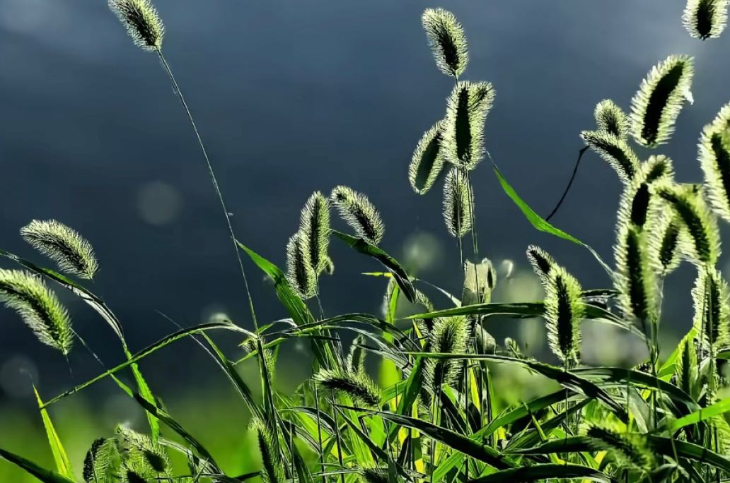 内耗如何自救？