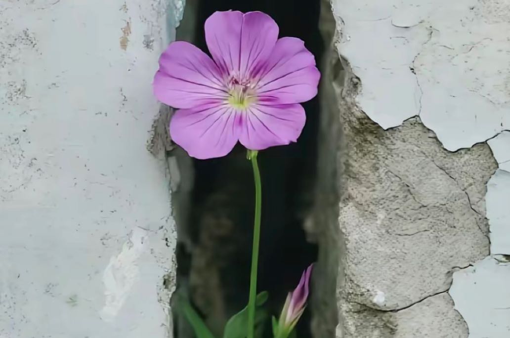 怎样在恋爱中保持吸引力？