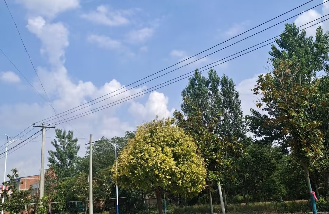 被伴侣否定，如何守住自我