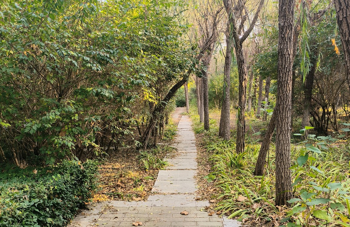如何在清晨唤醒好心情