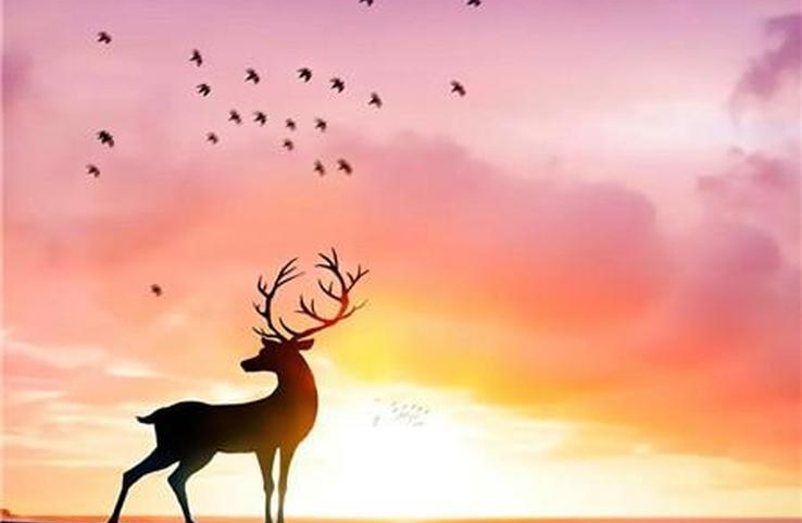为什么总想改造伴侣？警惕亲密关系里的隐形控制