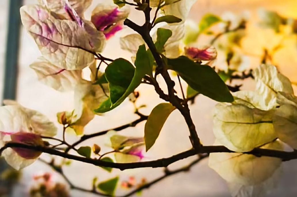 女生恋爱心理有哪些特点？