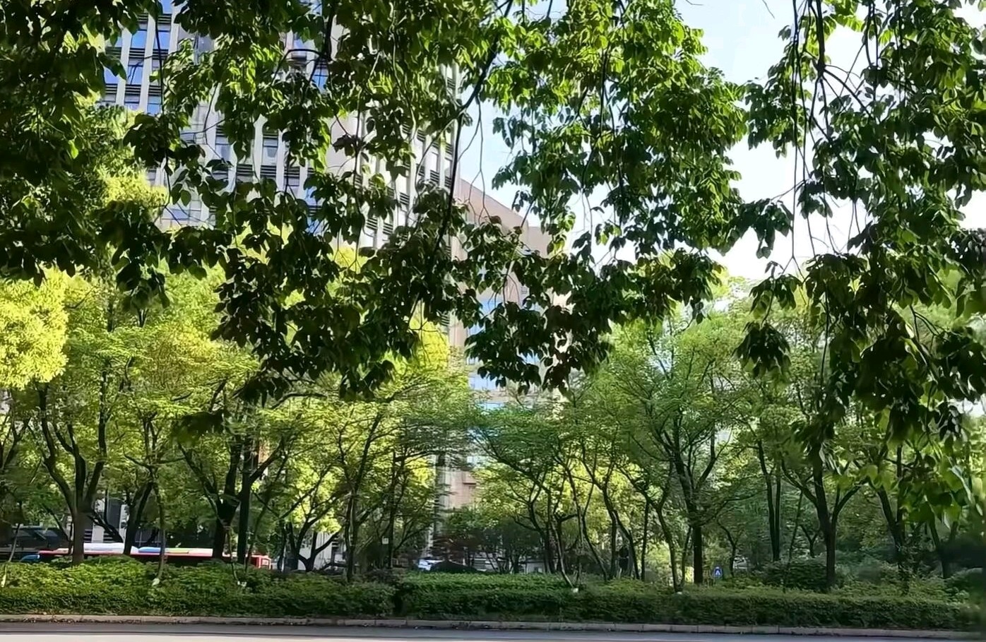 讨好换不来长久的珍惜