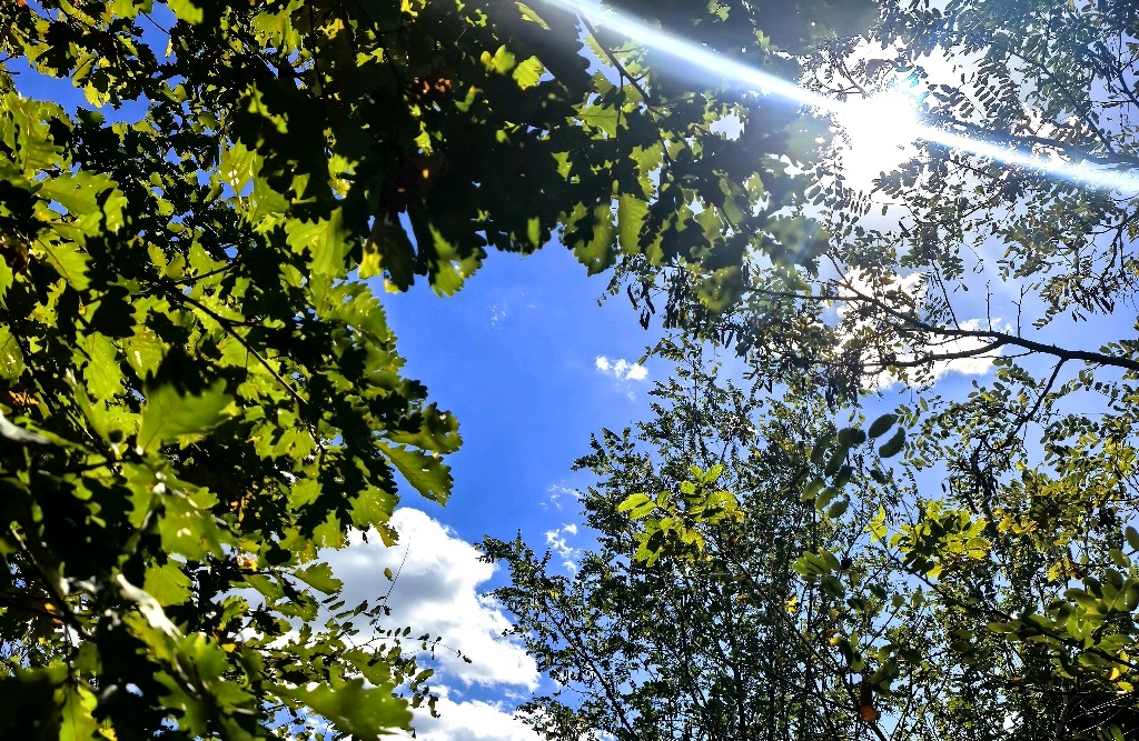 情绪不好时🧡最实用的自救方式🧡