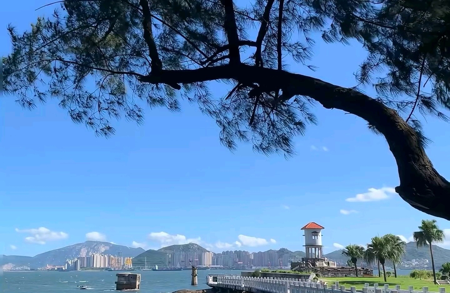 受过伤，依然拥有信任权