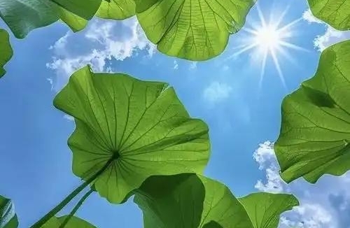 警惕家庭里的隐形情感勒索